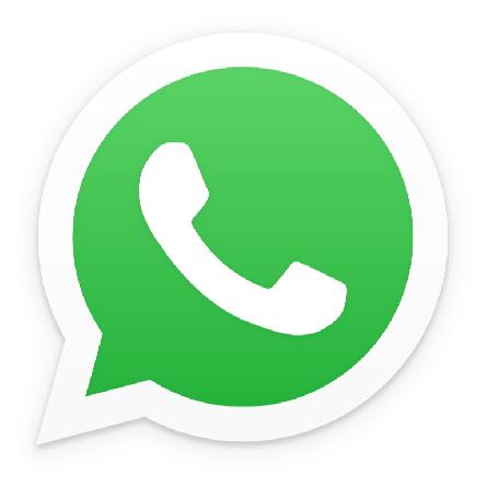 WhatsApp Videokonferenz